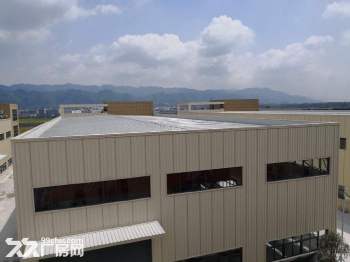 独栋单层厂房 层高11米 赠送超大院子-图6