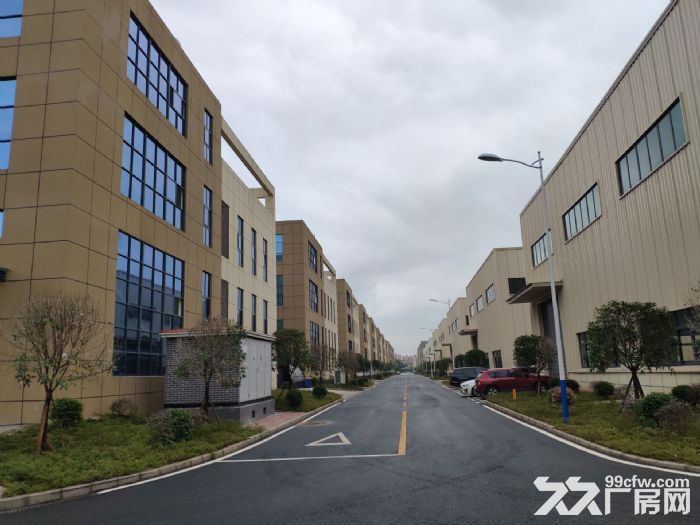 独栋单层厂房 层高11米 赠送超大院子-图7