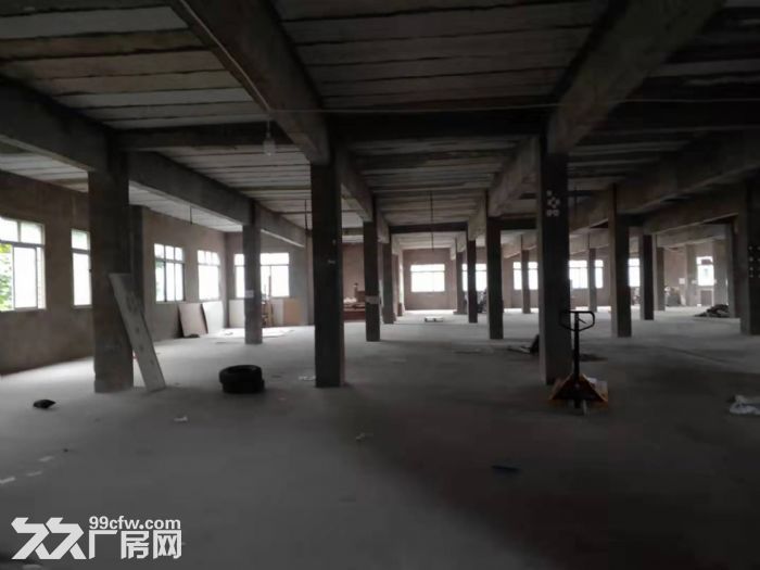 南岸南山2300平6米层高厂房出租可分