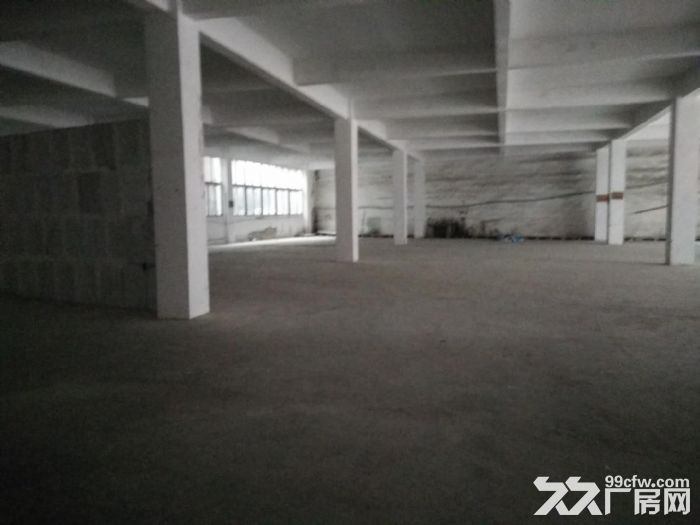 南岸区弹子石1100平厂房招租