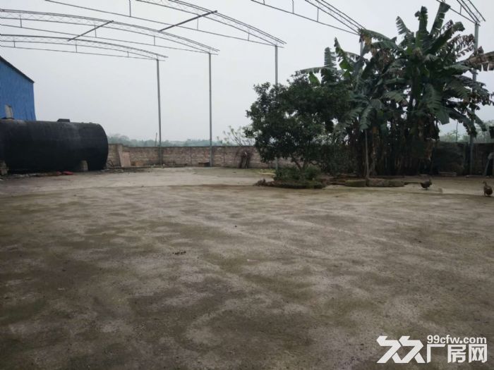 南岸区长生桥附近860平场地出租-图2