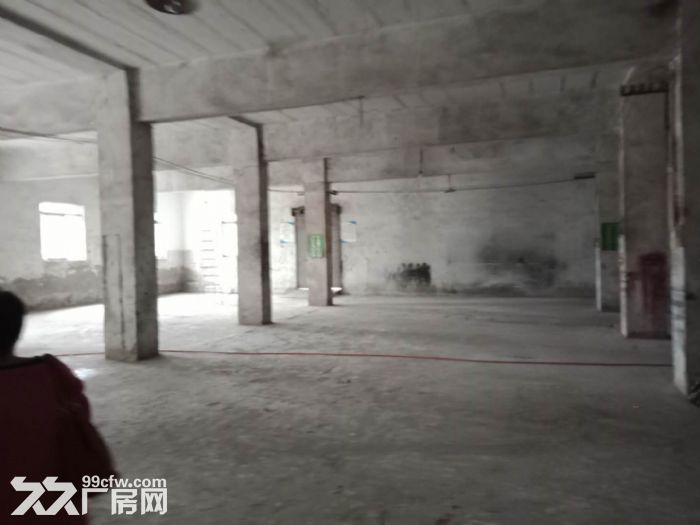 南泉1600厂房火爆出租