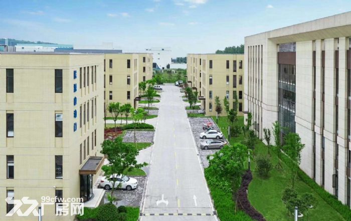 双福新区独栋厂房 户型方正 厂办一体
