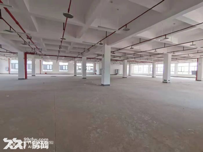 九龙信息孵化园全新简装厂房，符合条件企业租金面谈-图6