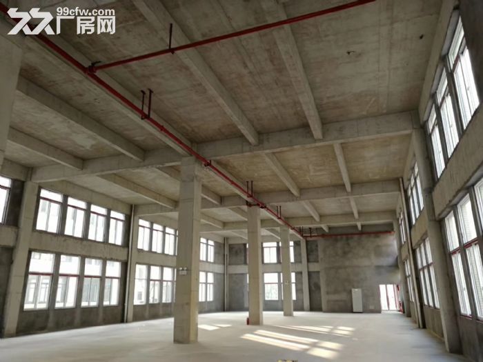 白市驿园区拆迁首选 紧靠九龙坡周边 全新独栋厂房-图7